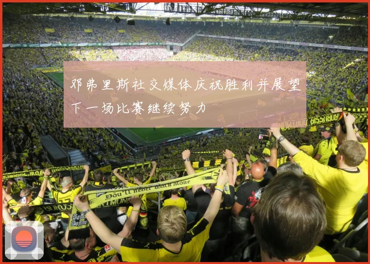 邓弗里斯社交媒体庆祝胜利并展望下一场比赛继续努力