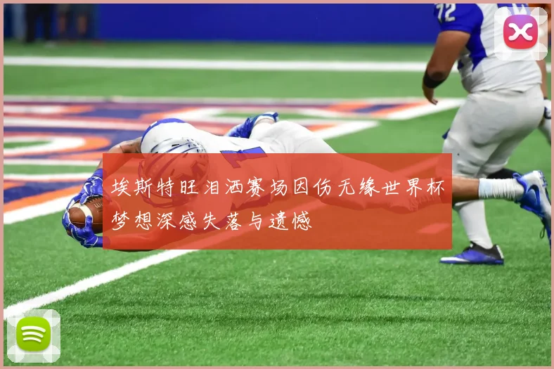 埃斯特旺泪洒赛场因伤无缘世界杯梦想深感失落与遗憾