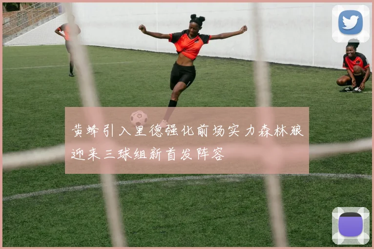 黄蜂引入里德强化前场实力森林狼迎来三球组新首发阵容