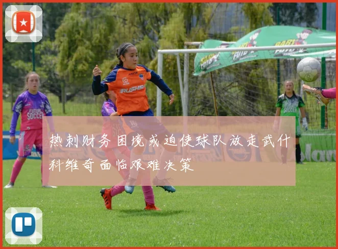 热刺财务困境或迫使球队放走武什科维奇面临艰难决策